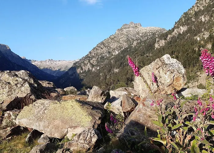 Grand 8 Pers, Centre-ville Cauterets, Balcon - Fr-1-234-165