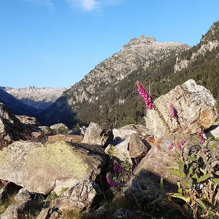 Grand 8 Pers, Centre-ville Cauterets, Balcon - Fr-1-234-165